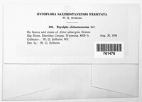 Image Associated With the Occurence